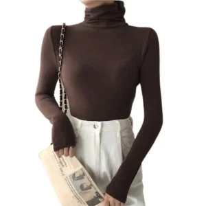 Tee Shirt Anti-pilling Turtleneck Elasticity Base Shirt Women Sweater Warm