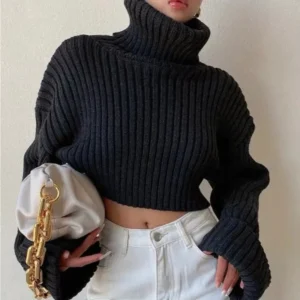 Women's Turtleneck Sweater Pullover Autumn Winter Thickened
