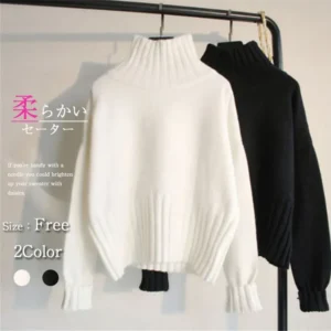 Korean Style Casual Knitted Top Turtleneck Solid Color Round Neck
