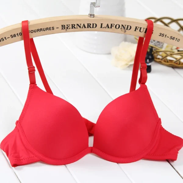 Female Bra Summer Breathable Student Single Breasted Sexy Cute Gathered Smooth Seamless Comfortable Girl's Bra - Image 5