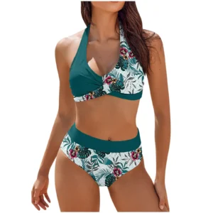 Sexy Bikini Push Up Swimwear Women Brazilain Bikinis