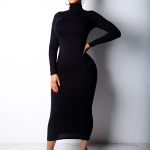 Slim Fit High Collar Long Dress