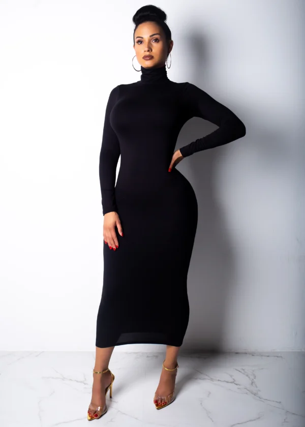 Slim Fit High Collar Long Dress