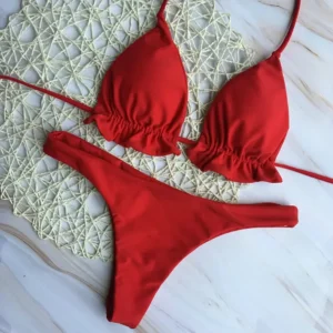 Summer Brazilian Bikini Set for Women Sexy 2 Pieces
