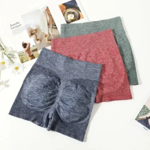 Women‘s Gym Shorts High Elasticity Yoga Clothing Absorbent Short Sets