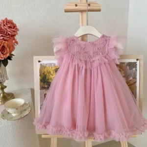 Sweet Cute Party Girl Dresses Mesh Lace Princess Dress